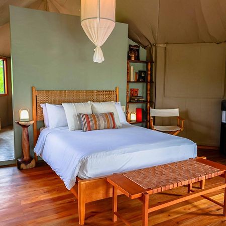 Sleeping Giant Rainforest Lodge 벨모판 외부 사진