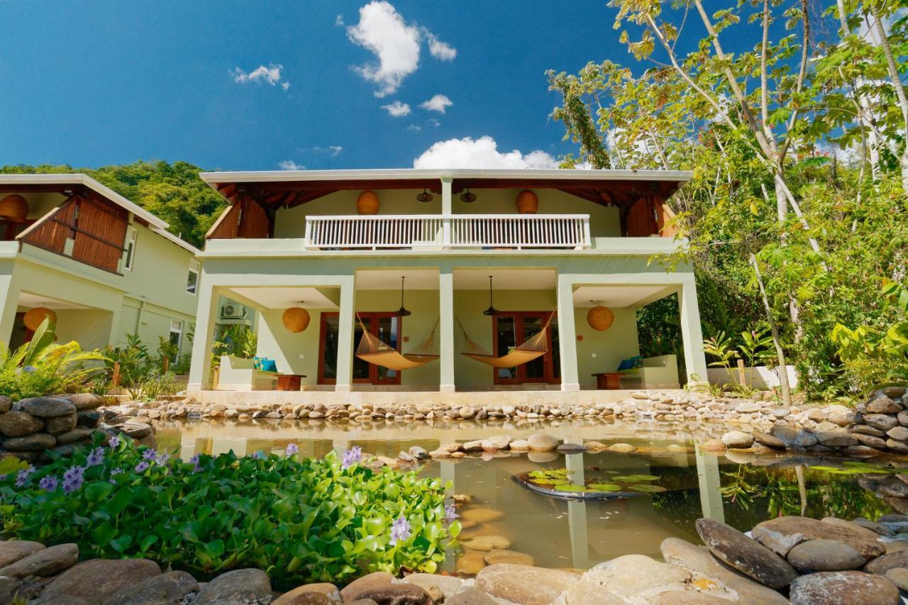 Sleeping Giant Rainforest Lodge 벨모판 외부 사진