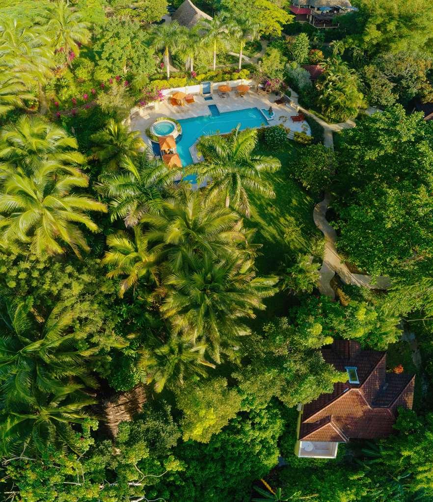 Sleeping Giant Rainforest Lodge 벨모판 외부 사진