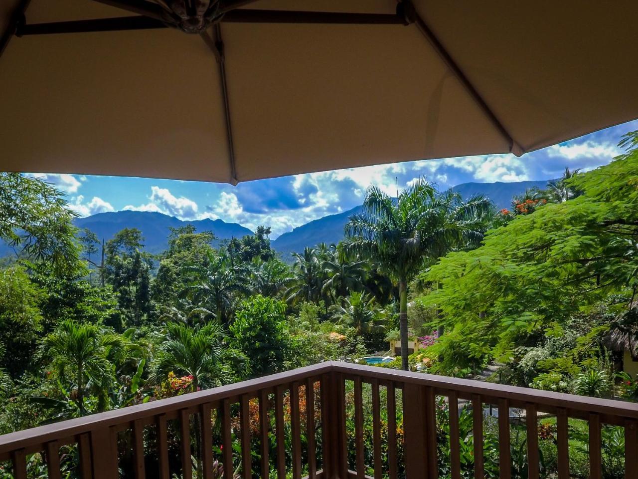 Sleeping Giant Rainforest Lodge 벨모판 외부 사진