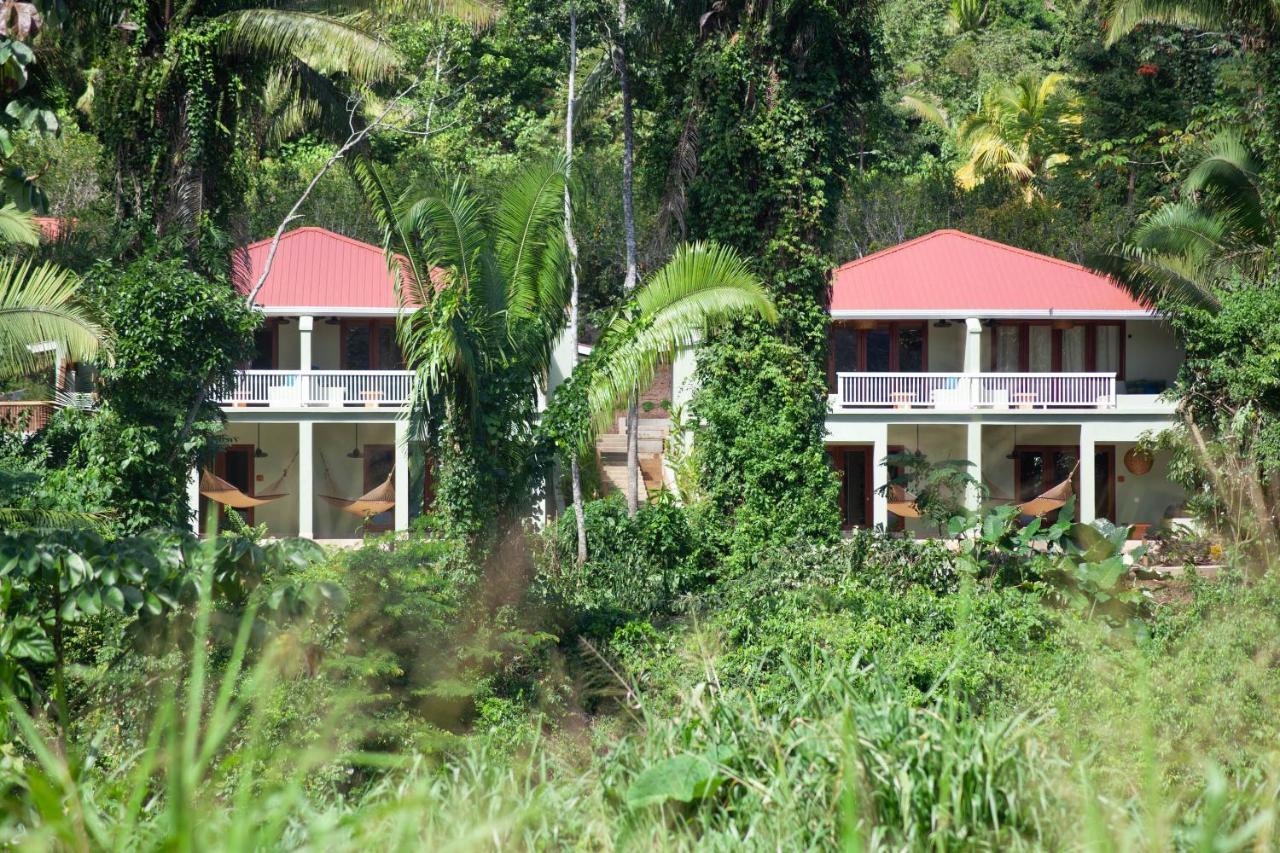 Sleeping Giant Rainforest Lodge 벨모판 외부 사진