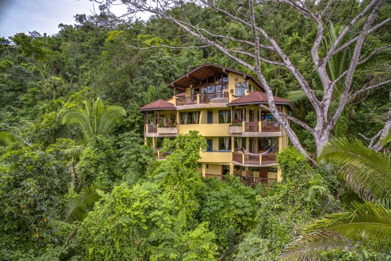 Sleeping Giant Rainforest Lodge 벨모판 외부 사진
