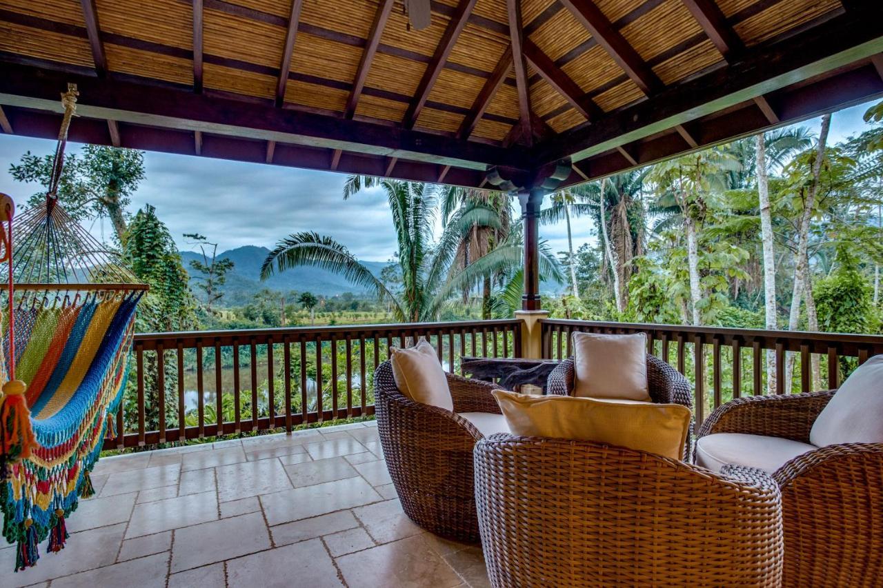 Sleeping Giant Rainforest Lodge 벨모판 외부 사진