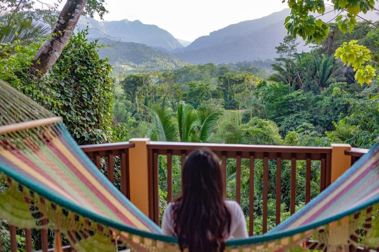 Sleeping Giant Rainforest Lodge 벨모판 외부 사진