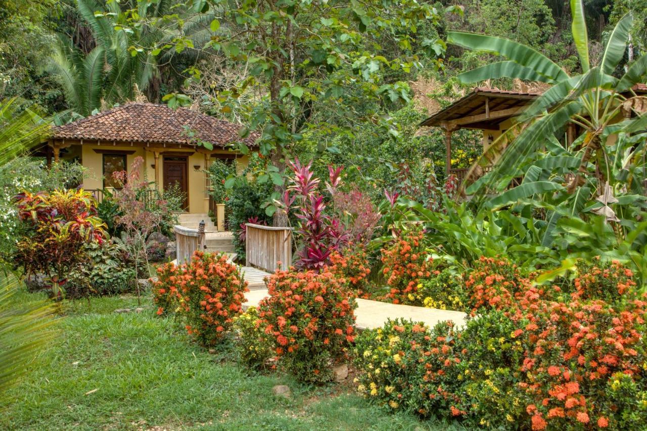 Sleeping Giant Rainforest Lodge 벨모판 외부 사진