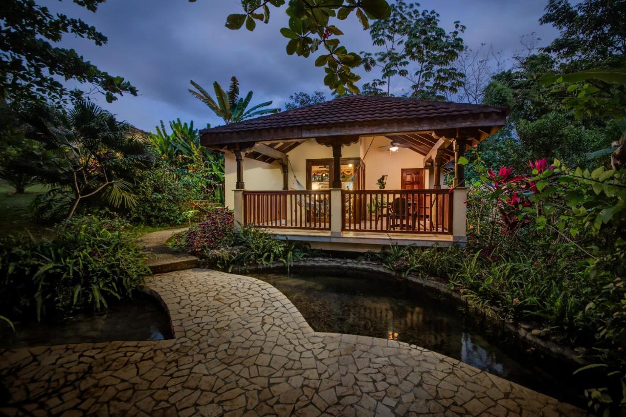Sleeping Giant Rainforest Lodge 벨모판 외부 사진